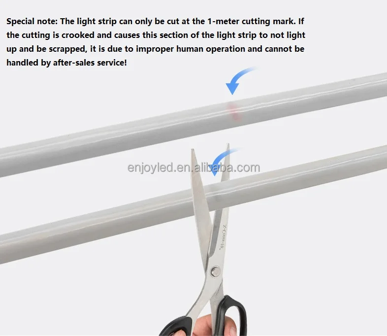 360 degree neon light -47.jpg