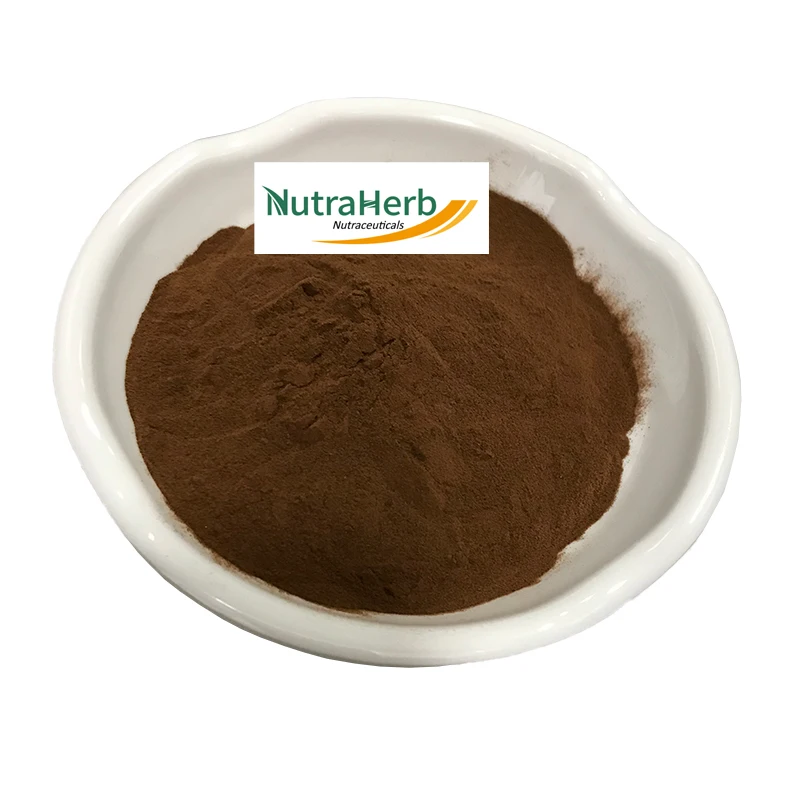 New Batch Spine Date Seed Extract 100% Natural Jujube Seed Extract 10:1 With High Quality