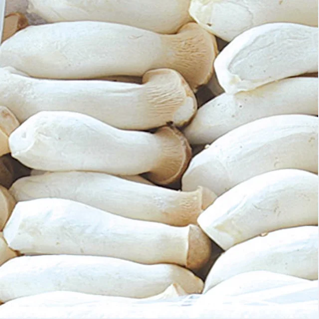 
Hottest Selling Wholesale Cheapest Fresh King Oyster Mushroom 