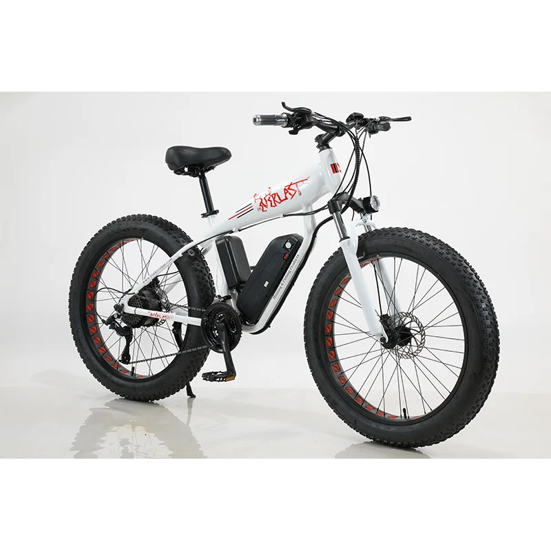 High power 750W 48V snow electric mountain bike/ebike
