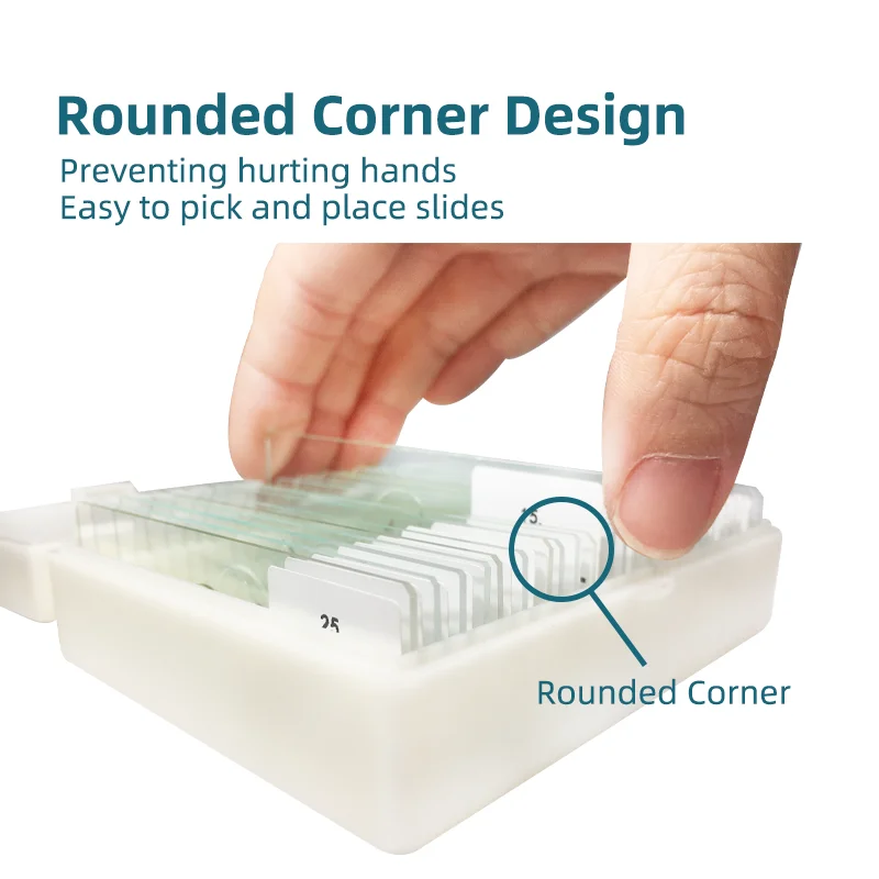 Teaching resources Medical science school supplies college student study zoology Parasitology Prepared Microscope Medical Slides