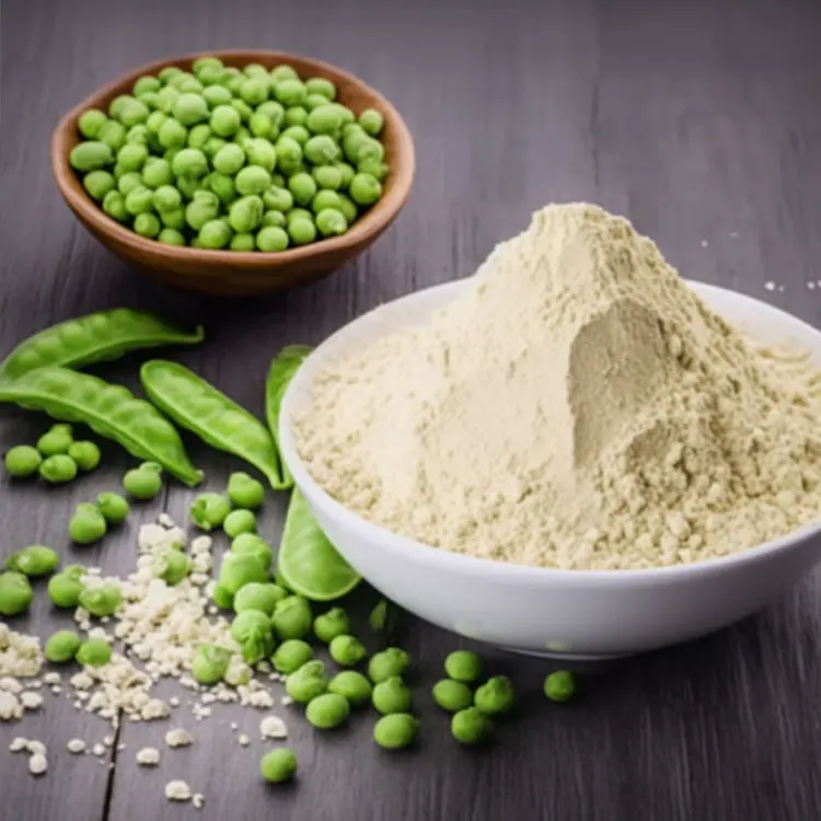 Sports Nutrition Supplements Chocolate Pea Protein Potential Vegetarian Protein Vegan Protein Powder
