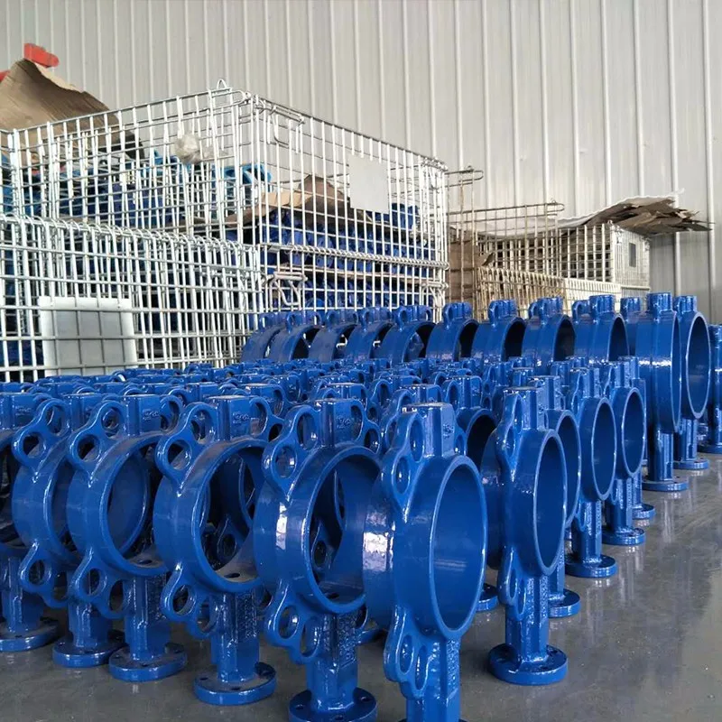 Hot wholesale Four inches Marine Worm Gear Manual Type Butterfly Valve