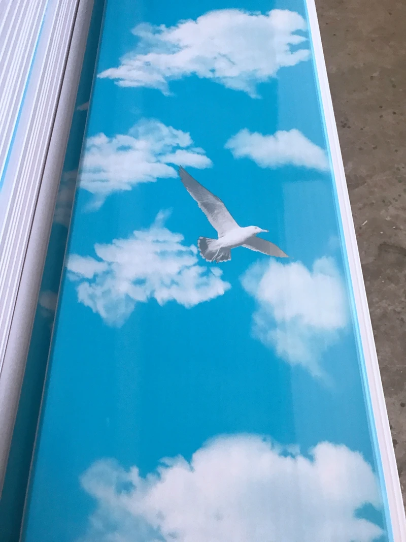 Easy installation pvc false ceiling design sheet for interior