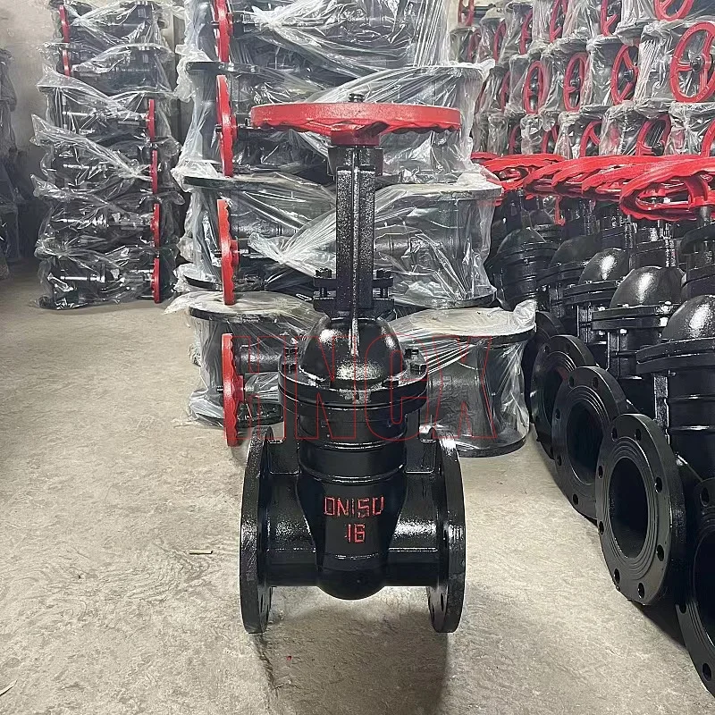 Z41T PN16 Manual Cast Iron Gate Valve Open Stem Wedge gate valve DN250 HT200 Copper Stem Cast Iron Flanged Gate Valve