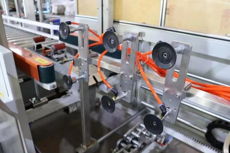 auto bag pack into paper box carton case packing machine