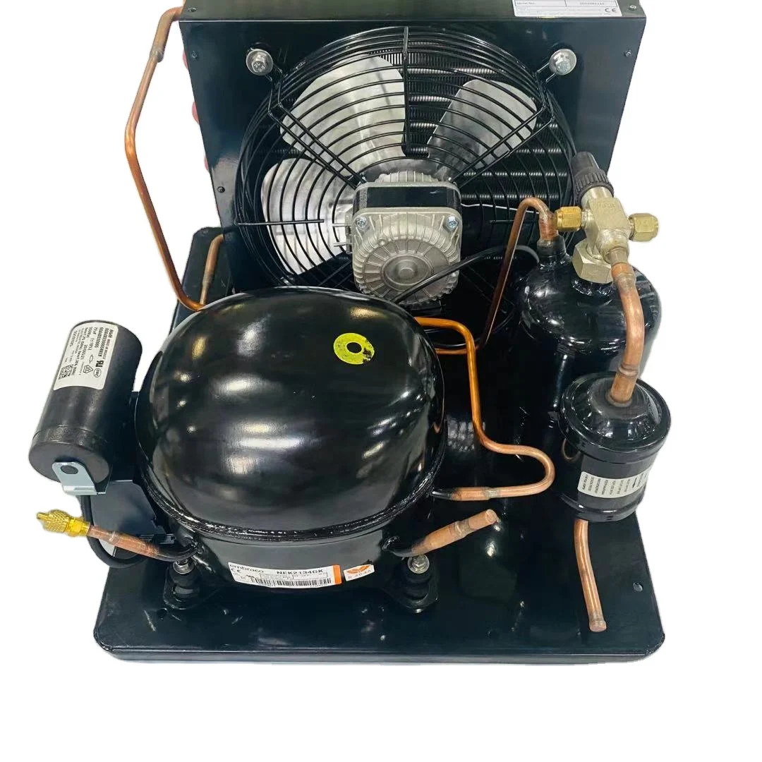 12V/24V DC Freezer condensing unit with various brand compressor