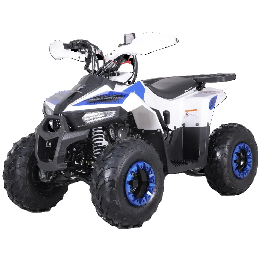 Мотор Tao лидер продаж дешевые китайские дети 110cc ATV АВТОМАТИЧЕСКИЙ 125cc квадроцикл Atv для детей электрический пусной цепной привод 7 дюймов