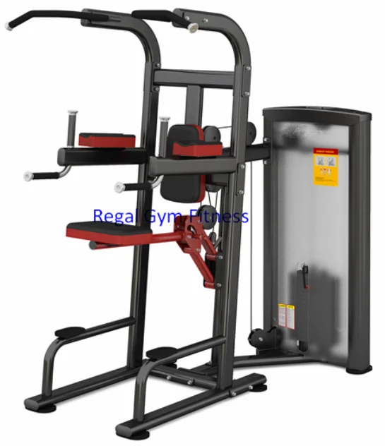 Gym Equipment Chin/Dip Fitness Machine
