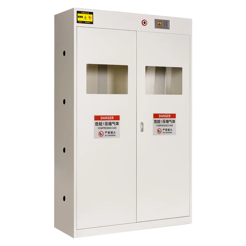 Single-cylinder Gas Cabinet Gas Cylinder Storage Cabinets for Sale