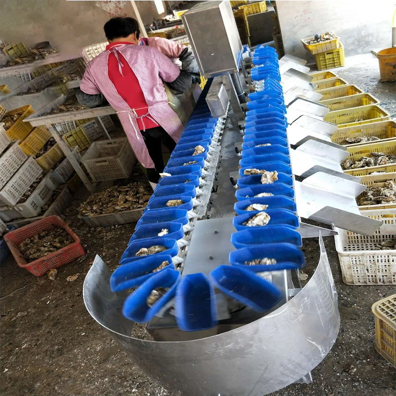 Машина для быстрой сортировки рыбы машина замороженных морепродуктов точная