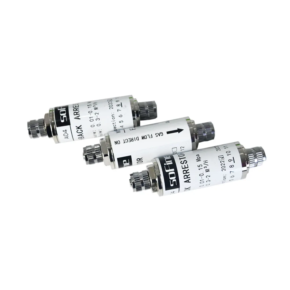 Oxy-hydrogen Torch Flame Arrestor Gas Flash Back Arrestor Factory Price