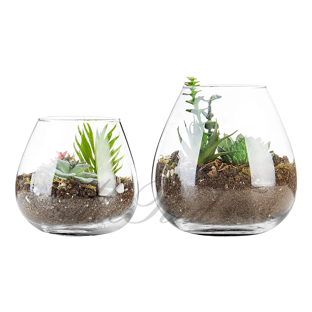 Round Glass Plant Tabletop Terrarium Succulent Air Plant Planter Fish Bowl Eco-friendly
