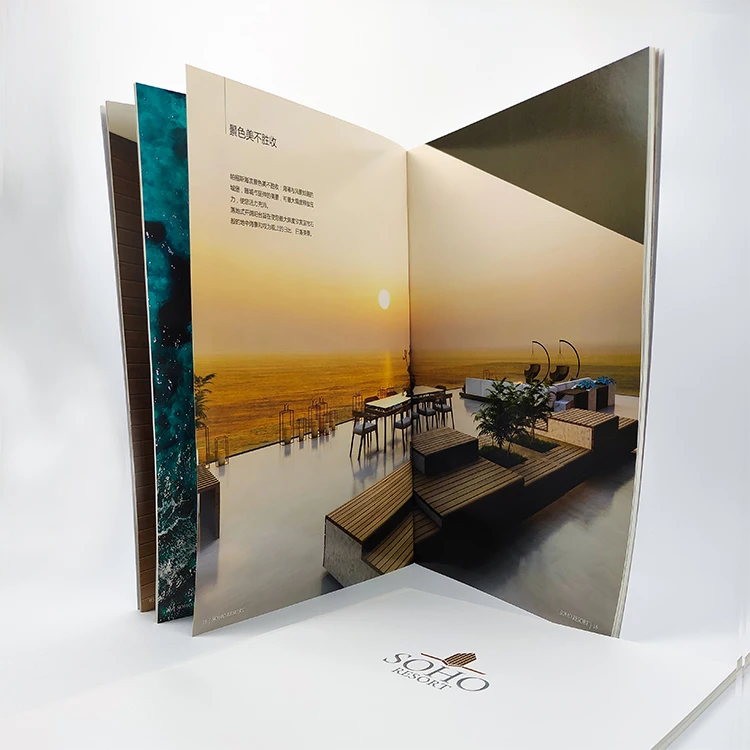China Professional Factory Supplier Custom Picture Book Printing