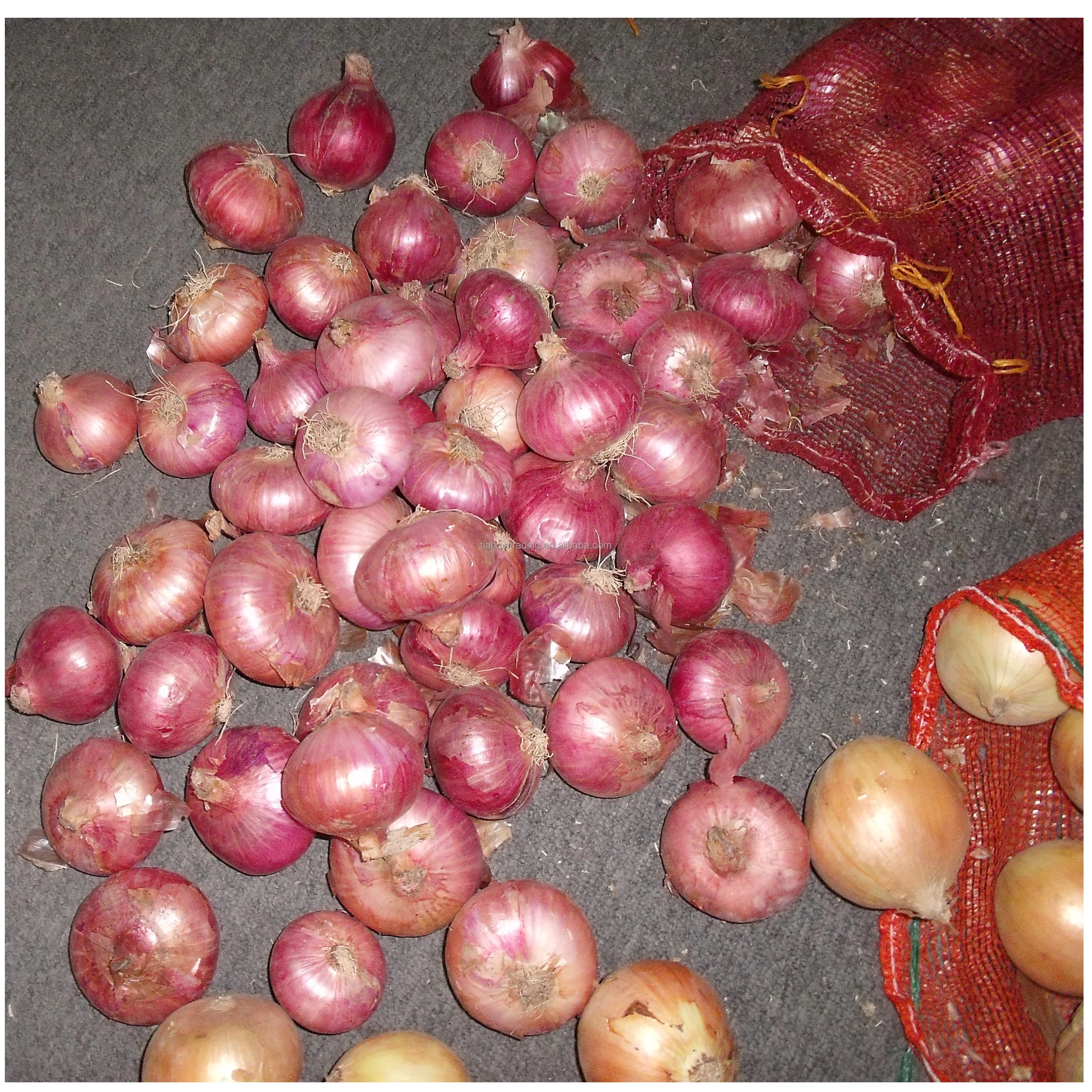 Red Onion price
