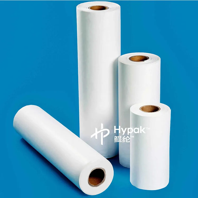 Factory Supply DuPont Tyvek Paper 1025D 1056D 1070D 1073D 1082D 1443R 1460C 1473R Raw Materials Fabric China Paper Roll