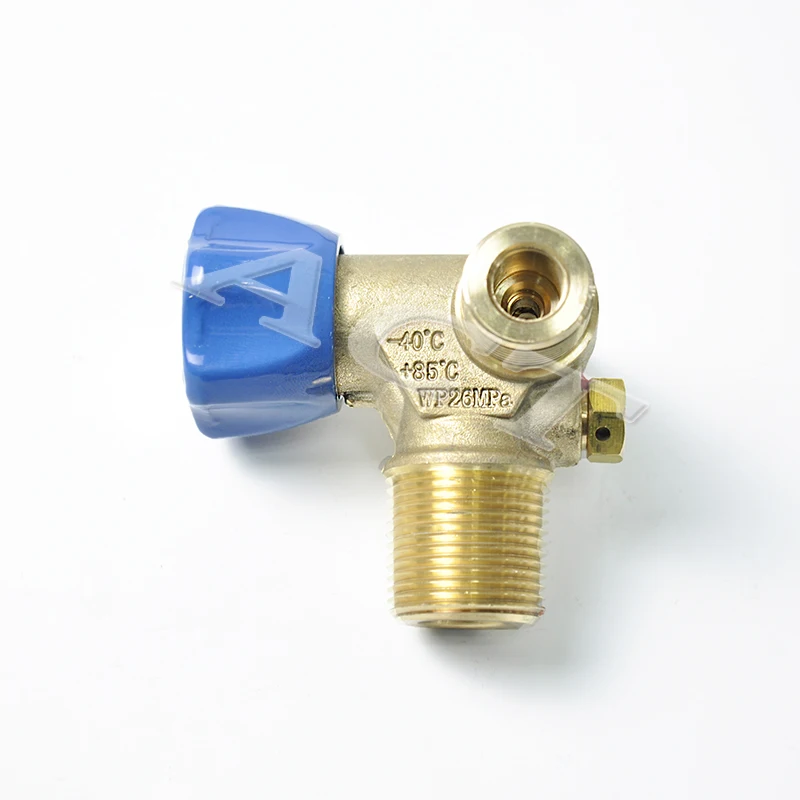 ACT LPG cylinder valves OEM ODM GLP gas filling valve for completed conversion kits car system Manual cylinder valve