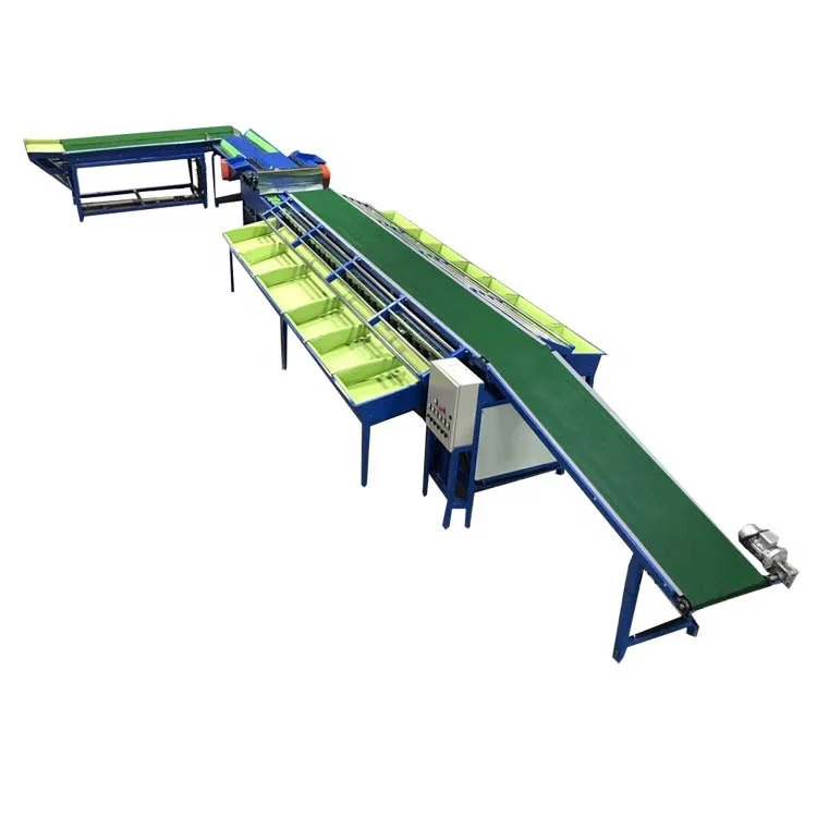 Equipment for measuring and sorting by weight for sorted fruit and vegetable processing equipment