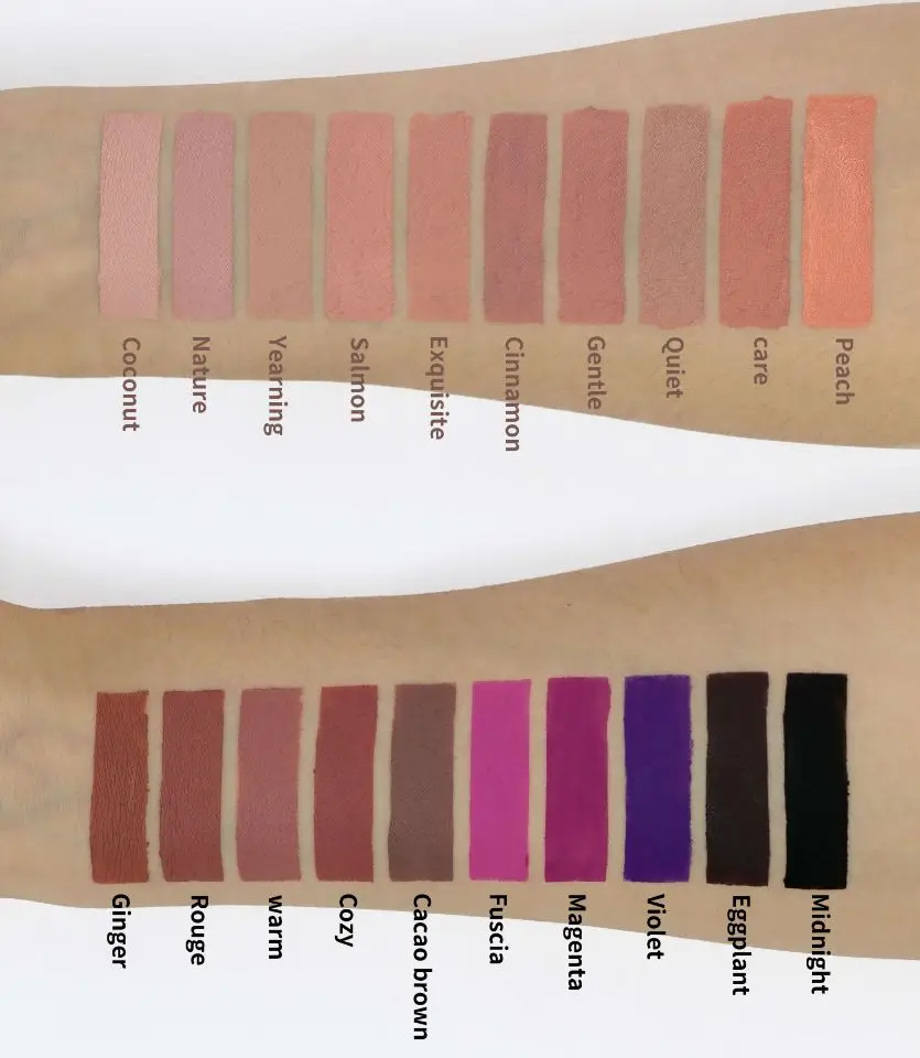 Vegan Cruelty Free Waterproof Kissproof Matte Liquid Lipstick Custom Red Matte Your Logo Lipstick