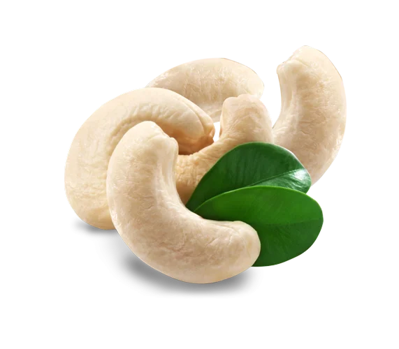 VIETNAM CASHEW NUT - GRADE WW240