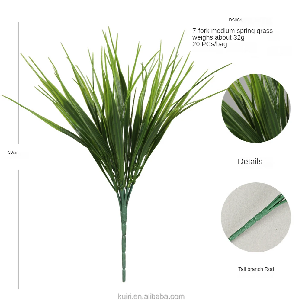 60 pcs pampas grass