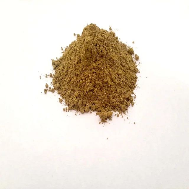 Peppermint Powder Mentha Arvensis Powder Pudhina Mint Leave Powder Useful To Relieve Spasm & Pain In Intestines