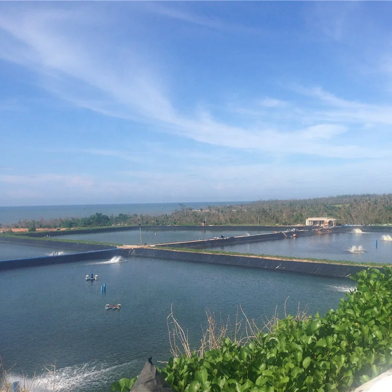 Best Quality Fish Farm Pond Liner Waterproof Geomembranas HDPE Liner Manufacturer Hdpe Geomembrane for Pond