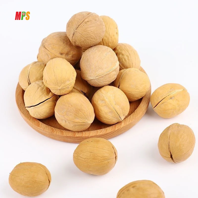 Оптовая продажа высококачественные вкусные закуски сушеные тонкокожие грецкие орехи в скорлупе поставщик