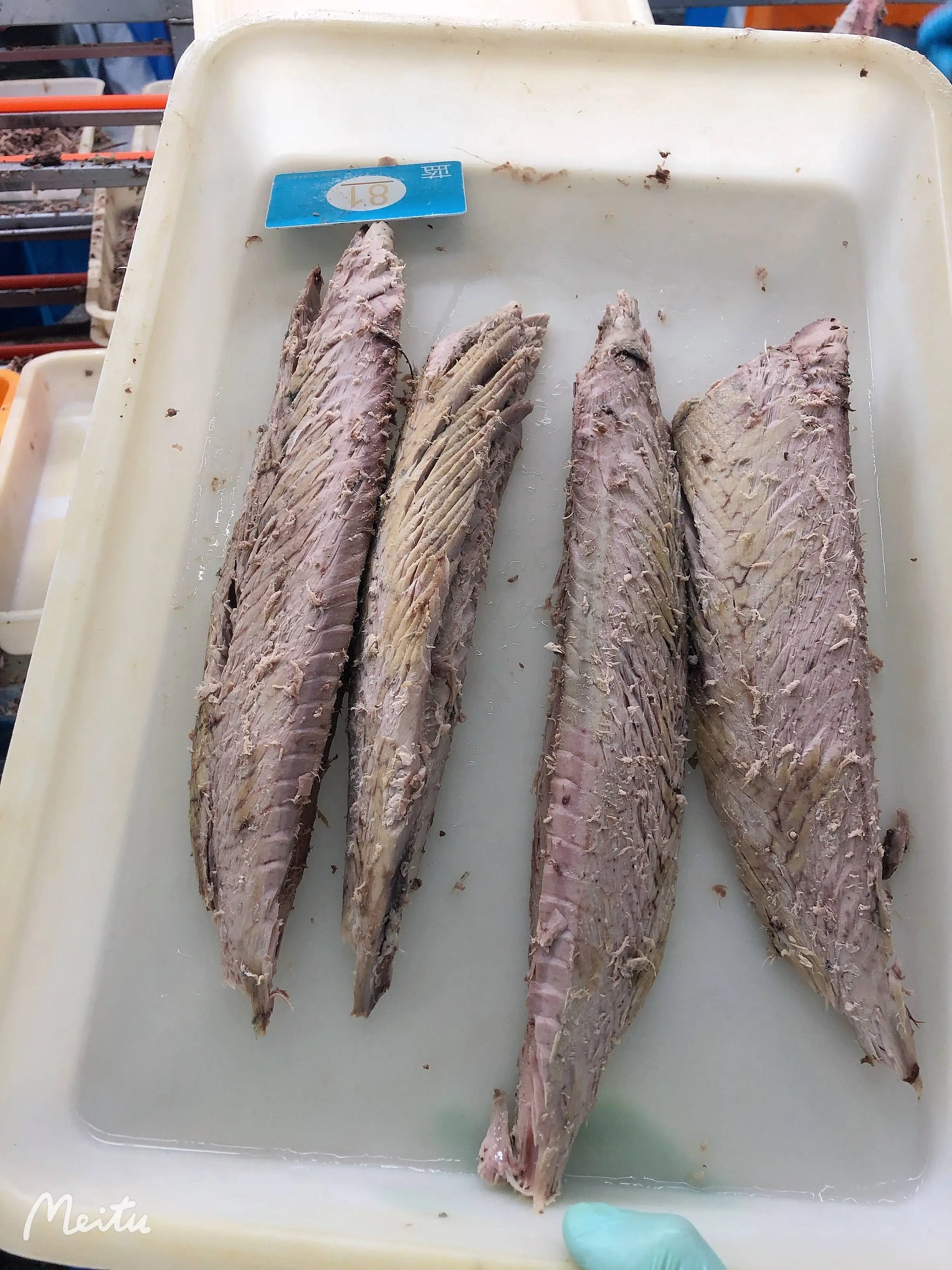 Frozen Skinless Boneless Yellowfin Tuna Loin 7.5kg Pacific Indian Ocean Vacuum Pack Box Fresh Canned Style