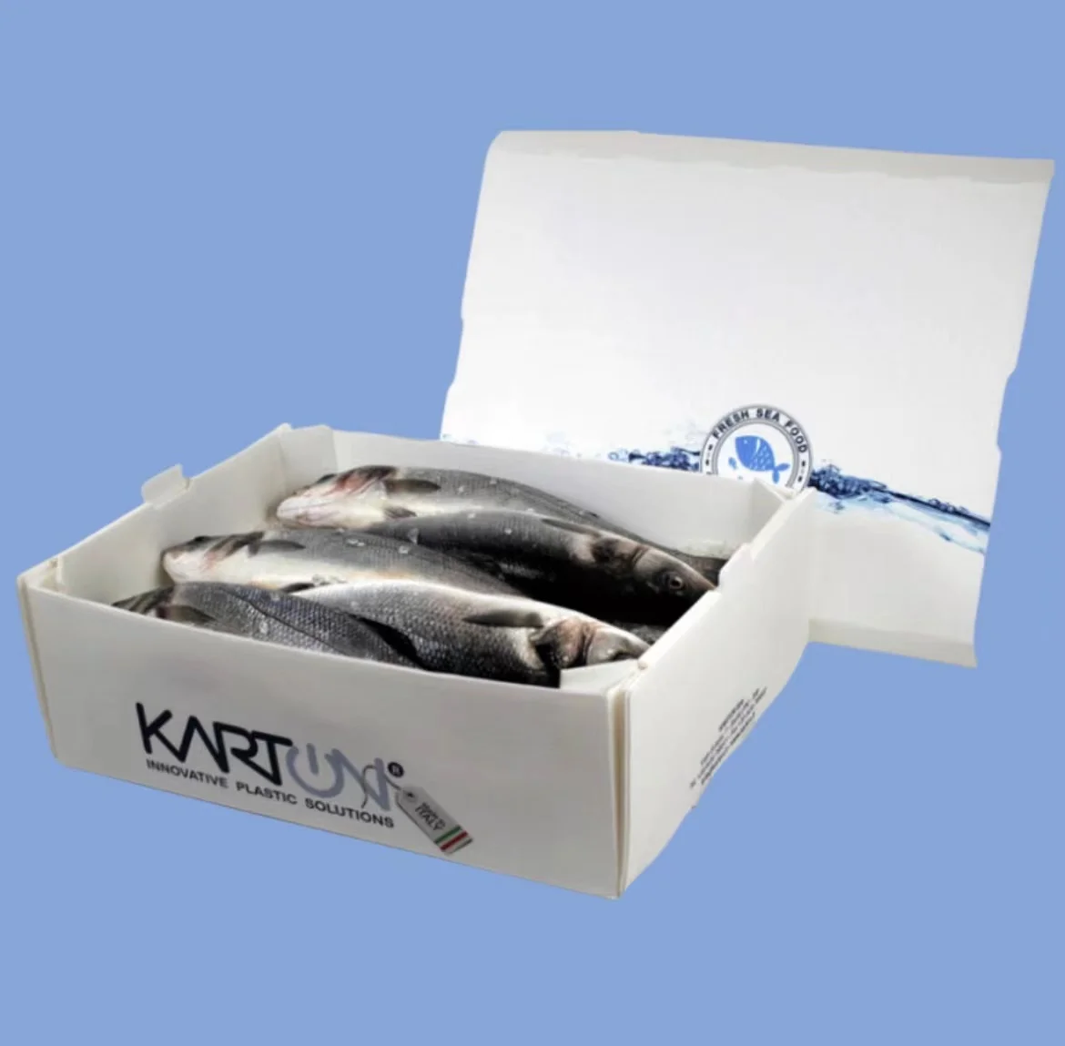 Fish Box Plastic Packing Frozen Packaging Fresh Seafood Ploytherene PP Shipping Hollow Hdpe Dried Transport Big for Fish Box