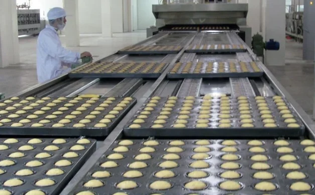 Transfer Conveyor for Cake Production Line