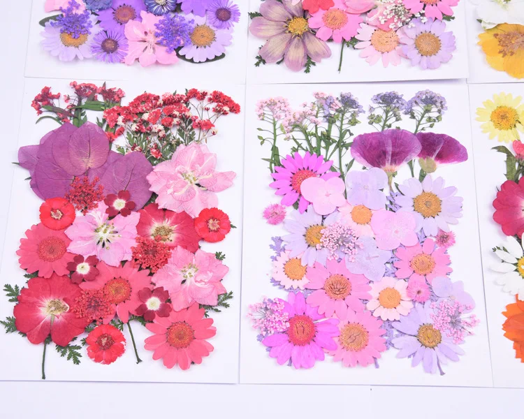 New Flower Decoration  Material Bag Diy Hand Drop Glue Resin Mobile Phone Case Photo Frame Dried  Dried Flowers And Plants