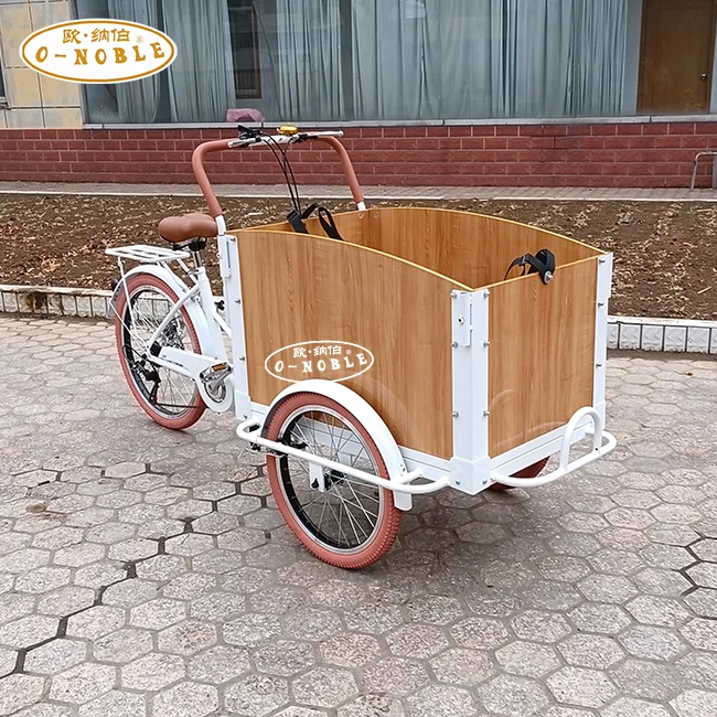 New Designed Cargo Tricycle Family Used Electric Bike