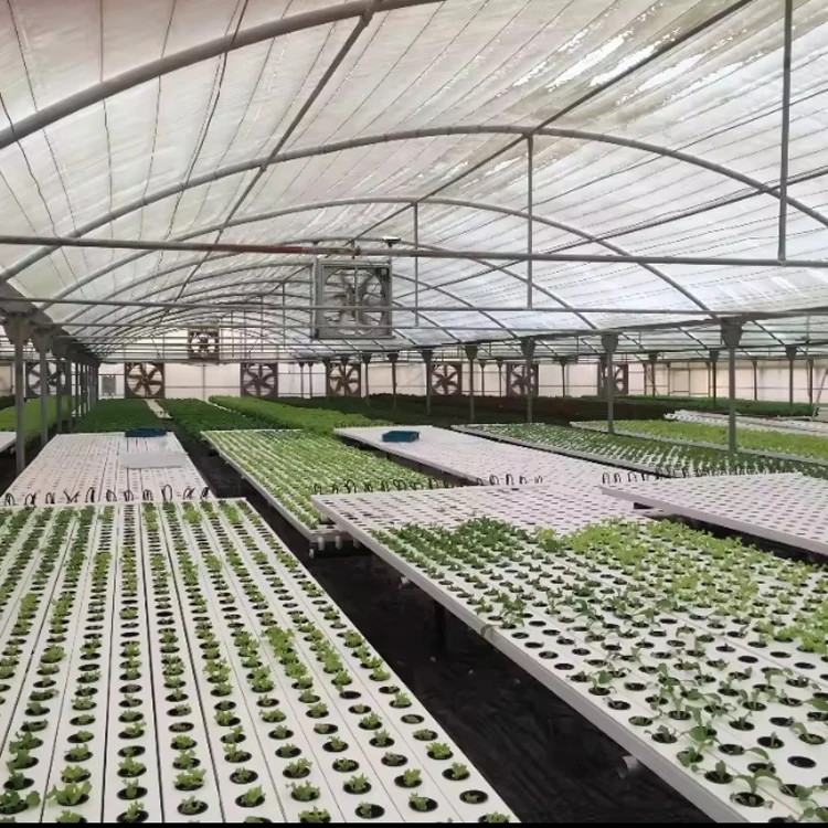 smart farm Planting pvc 50mm nft channel hydroponics vertical automated indoor leafy vegetables hydroponics system