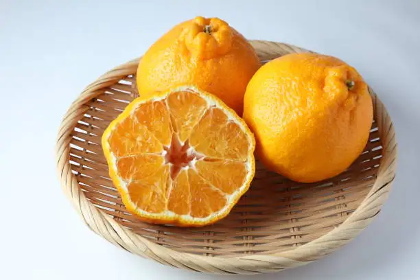 Japan Best Brand Frozen Fruit Orange(Shiranui)
