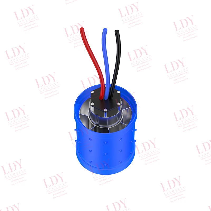 LDY Professional DC Brushless Motor High Speed Hair Dryer Motor DC12V 110V-220V 88000RPM Home appliance accessories