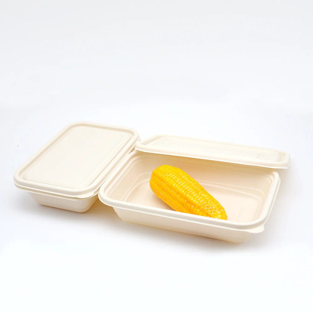 Compostable Disposable Cornstarch Food Container Biodegradable Cornstarch Takeout Takeaway Lunch Box Food Container