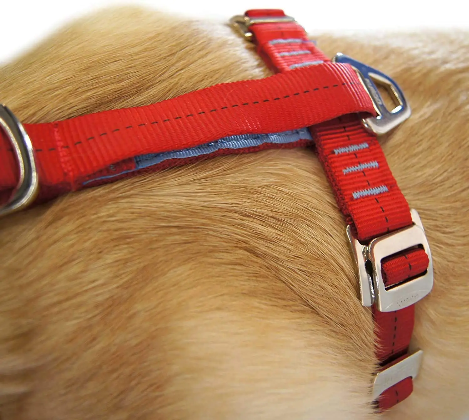 Run wing Tru-Fit Crash Tested Dog Harness, Enhanced Strength Dog Vest, Dog Safety Harness with Pet Seat Belt Tetherfor Car