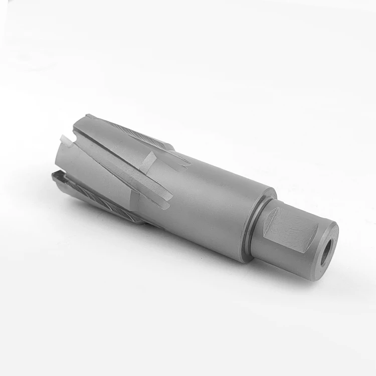 High Quality Carbide Metal Drill Bit Weldon Shank Tct Annular Cutter