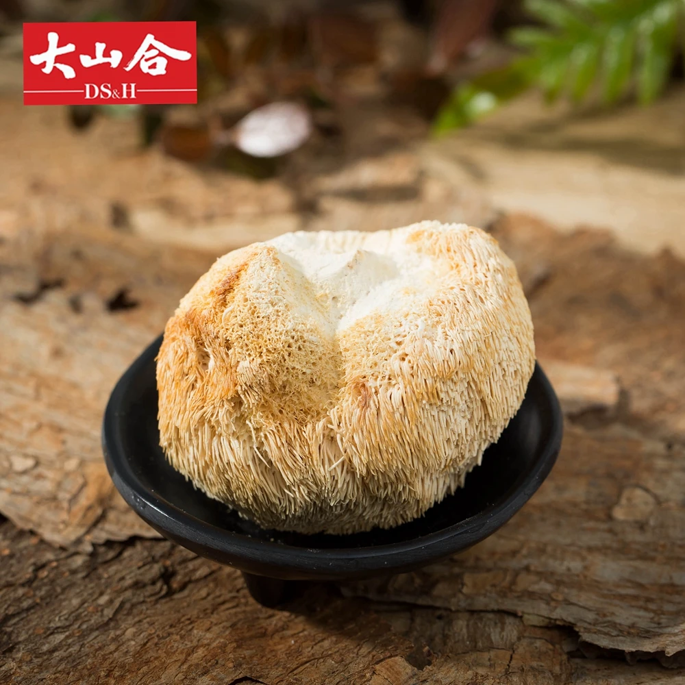 Dried Hericium Erinaceus Mushroom