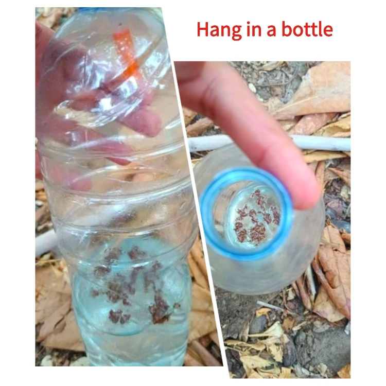 2 ml/Piece Wholesale Volatile Bactrocera Dorsalis Pheromone to Control Fruit Fly in Orchards