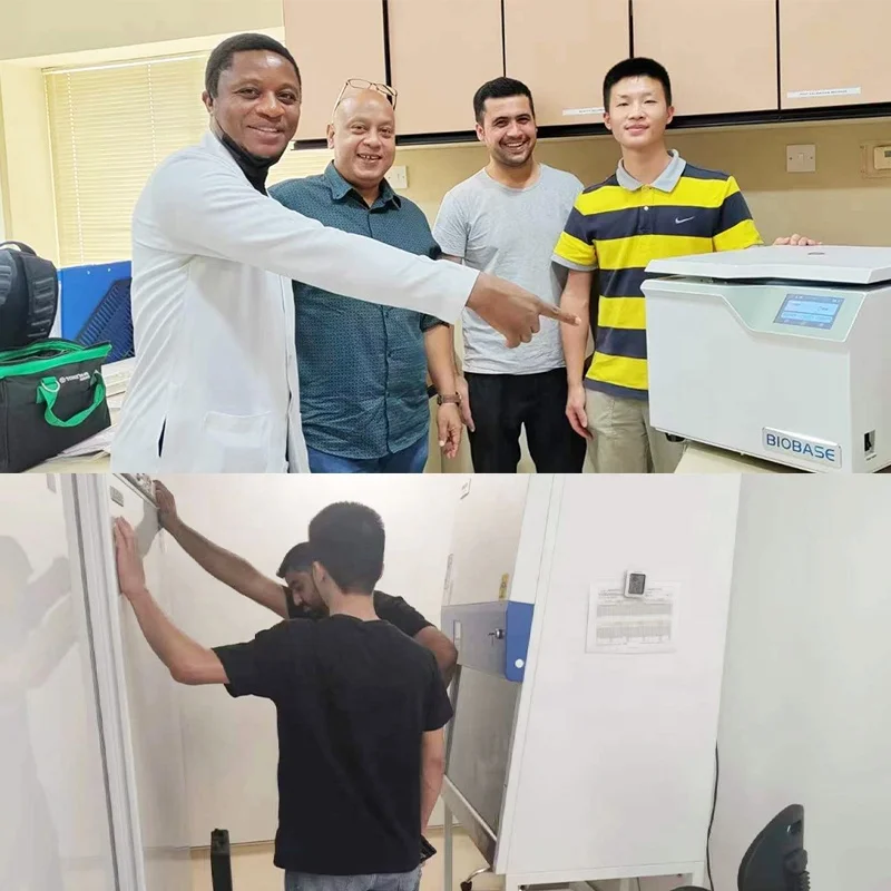 BIOBASE Hot Air Sterilizer BJPX-SH55 Circulating Drying Oven for laboratory 55L discount factory price