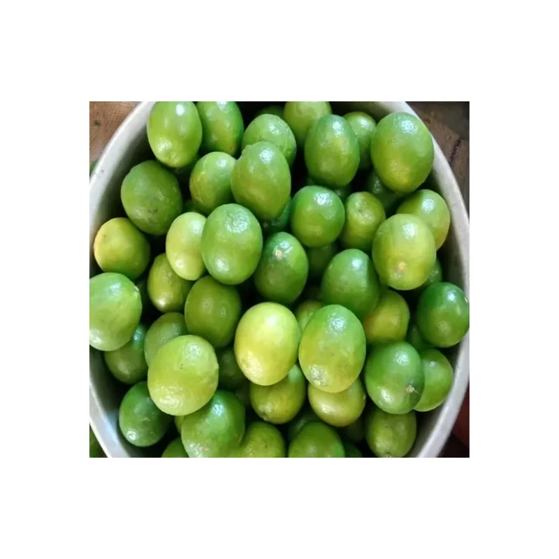 Custom Packing Fresh Lemon 100% natural fresh low price and high quality from Indian supplier Wholesale Purchase