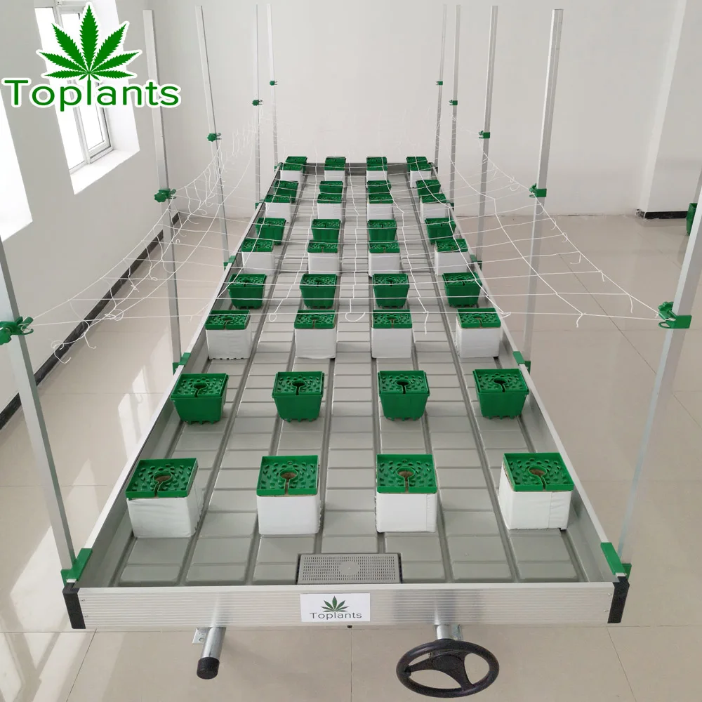 Оптовая продажа пластиковый лоток ebb и система подачи скамья для овощей