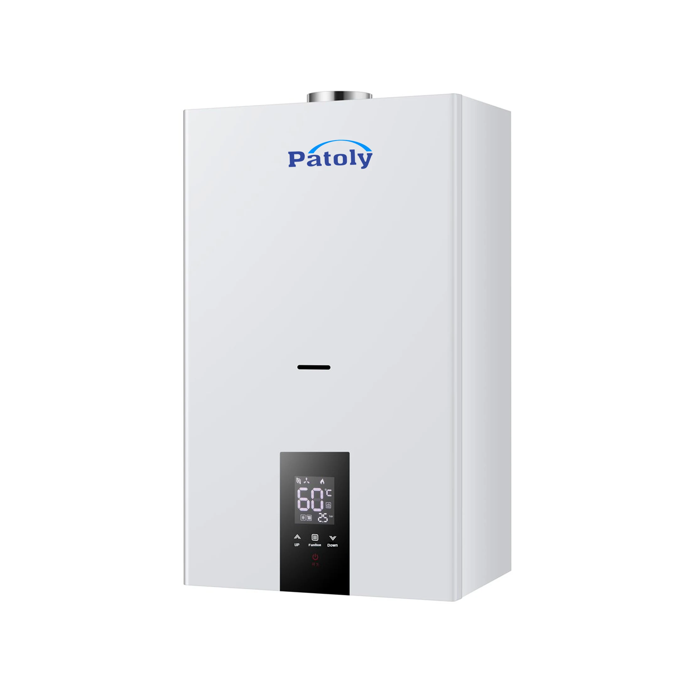 18KW 24KW-50KW Instant Ng Natural Gas Boiler High Quality Best Price Tankless Gas Hot Water Heater 220V Heating Bathing for Home