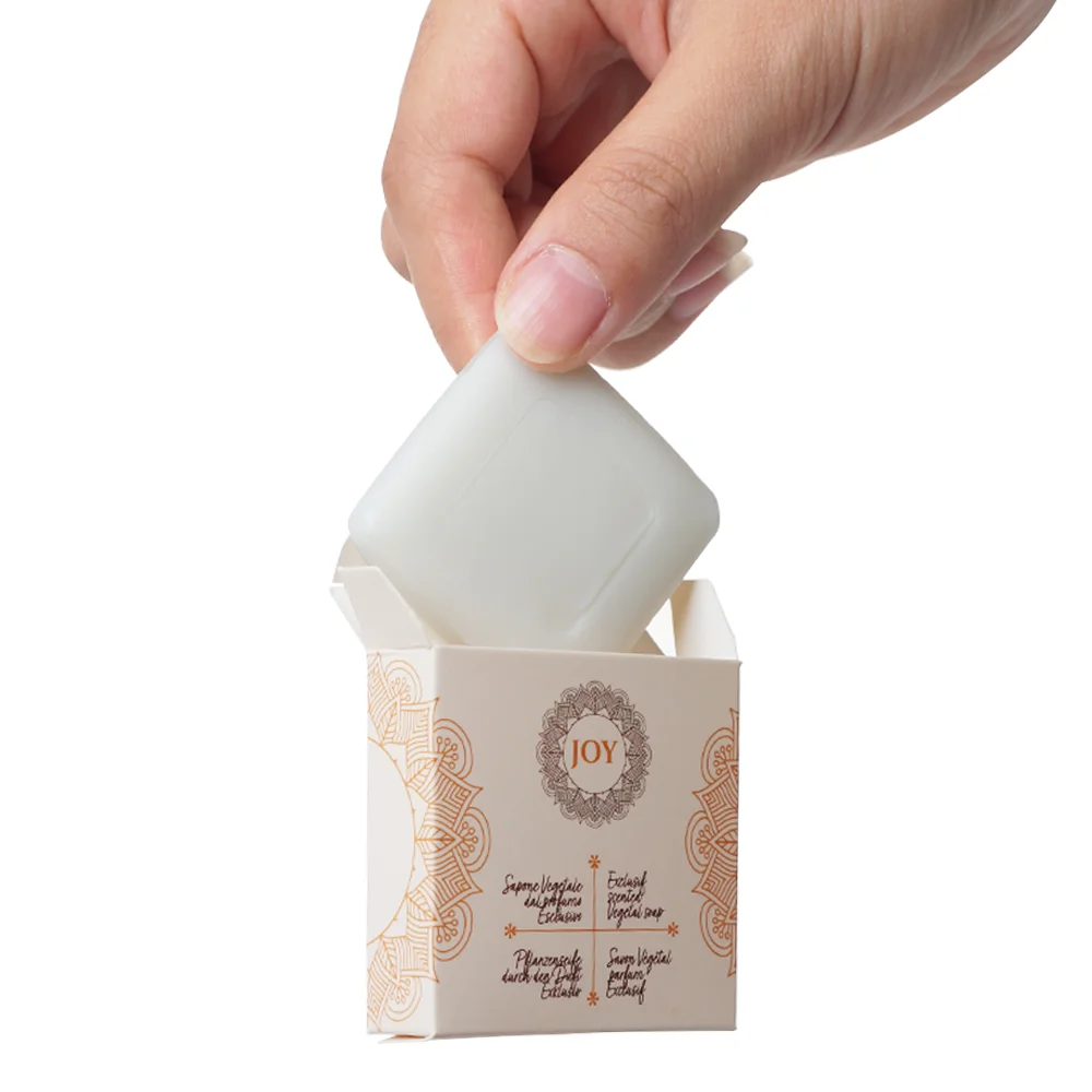 Luxury Star Hotels Custom Logo Guest Room Travel Spa Hospitality Disposable Hotel Amenities