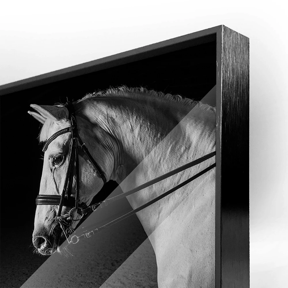Hot Selling Black&White Horses Acrylic Wall Art Prints Canvas Art Work Frameless Acrylic Painting Oil Painting for Wall Decor.