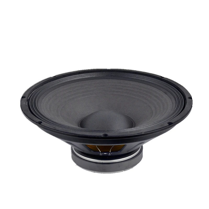 12 inch low price 120W power woofer speaker battery speaker box unit HF-PA12251