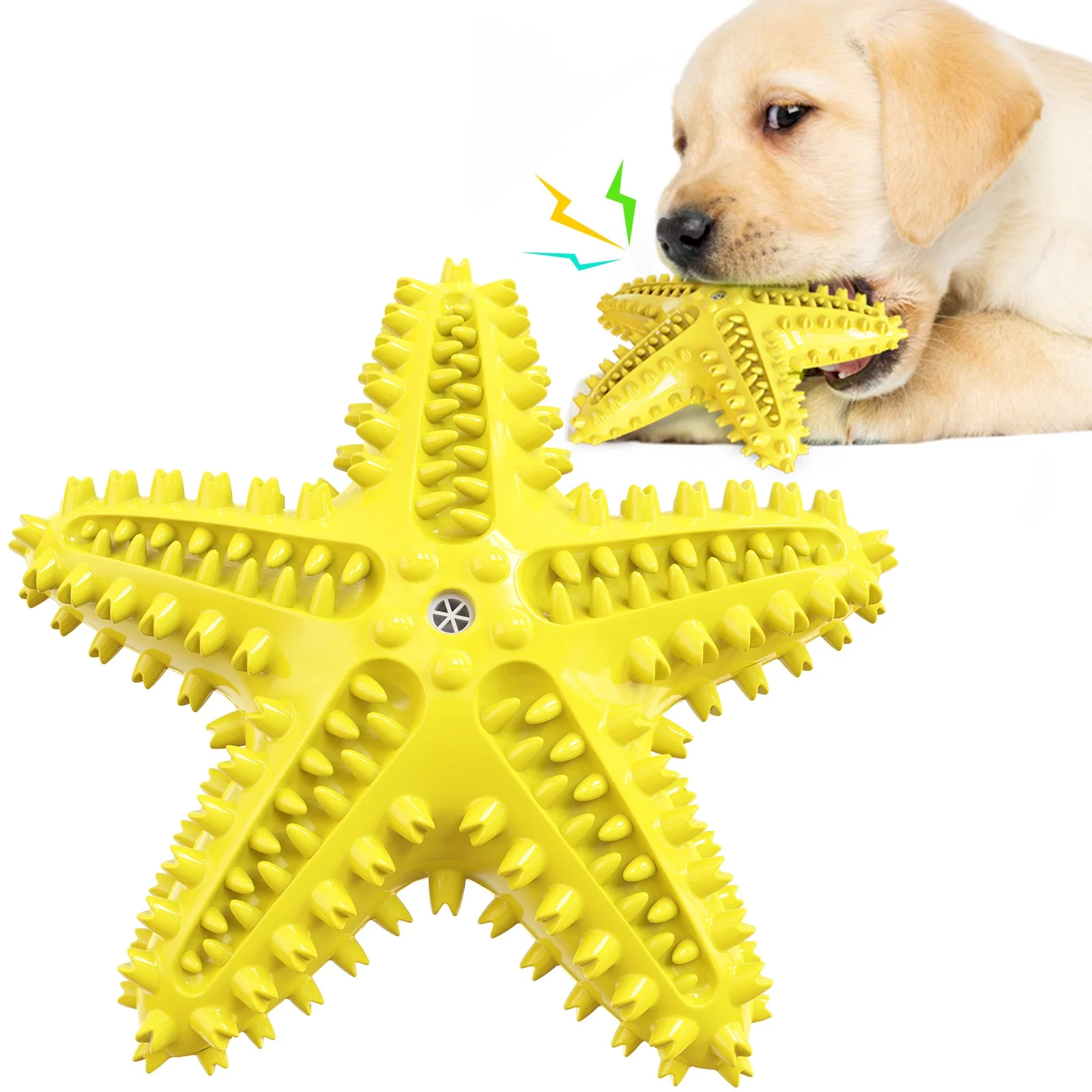 Wholesale latest starfish pet store dog chewing sounding toy