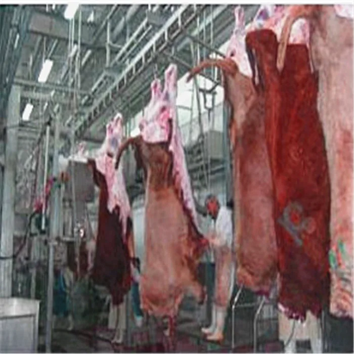 Cattle bovine slaughtering equipment cow slaughtering line